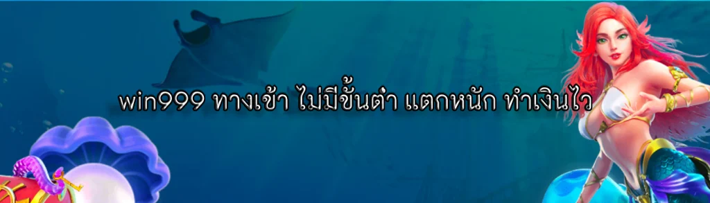 win999 ทางเข้า